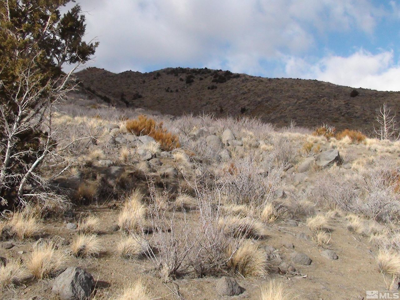 1265 Freds Mountain Road, Reno, NV 89508 Photo