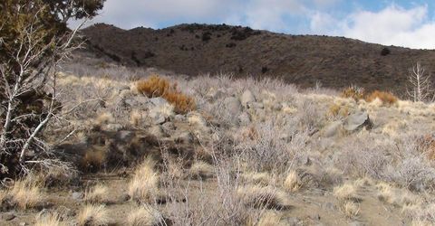 1265 Freds Mountain Road, Reno, NV 89508 Photo