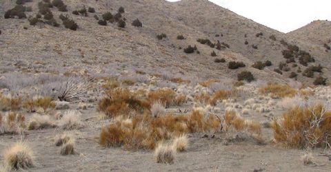 1265 Freds Mountain Road, Reno, NV 89508 Photo