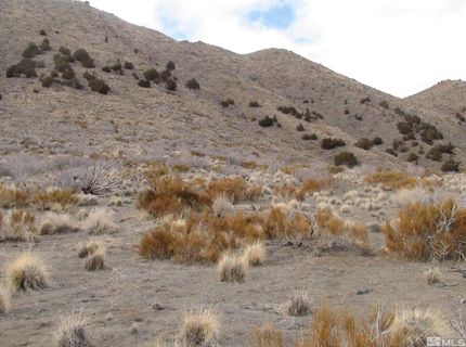 1265 Freds Mountain Road, Reno, NV 89508 Photo