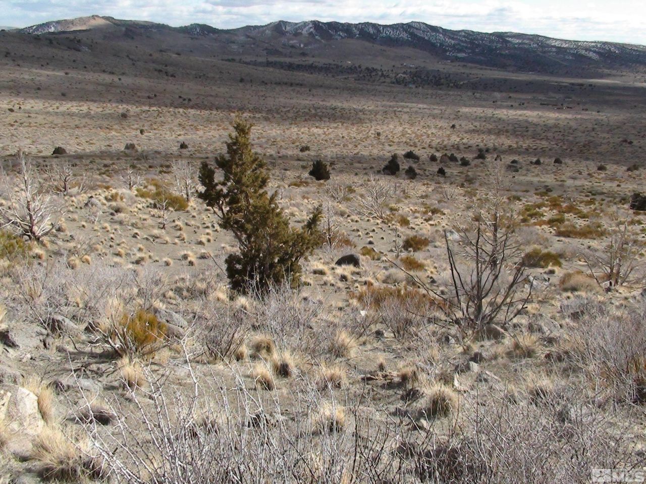 1265 Freds Mountain Road, Reno, NV 89508 Photo