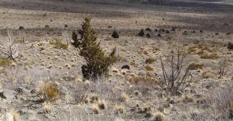 1265 Freds Mountain Road, Reno, NV 89508 Photo