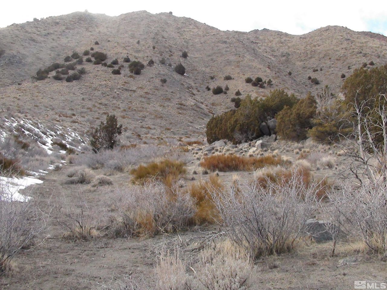 1265 Freds Mountain Road, Reno, NV 89508 Photo