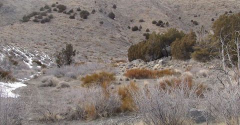 1265 Freds Mountain Road, Reno, NV 89508 Photo