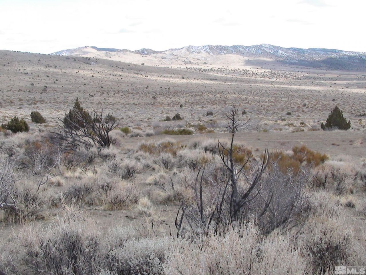 1265 Freds Mountain Road, Reno, NV 89508 Photo