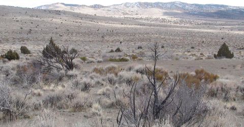 1265 Freds Mountain Road, Reno, NV 89508 Photo