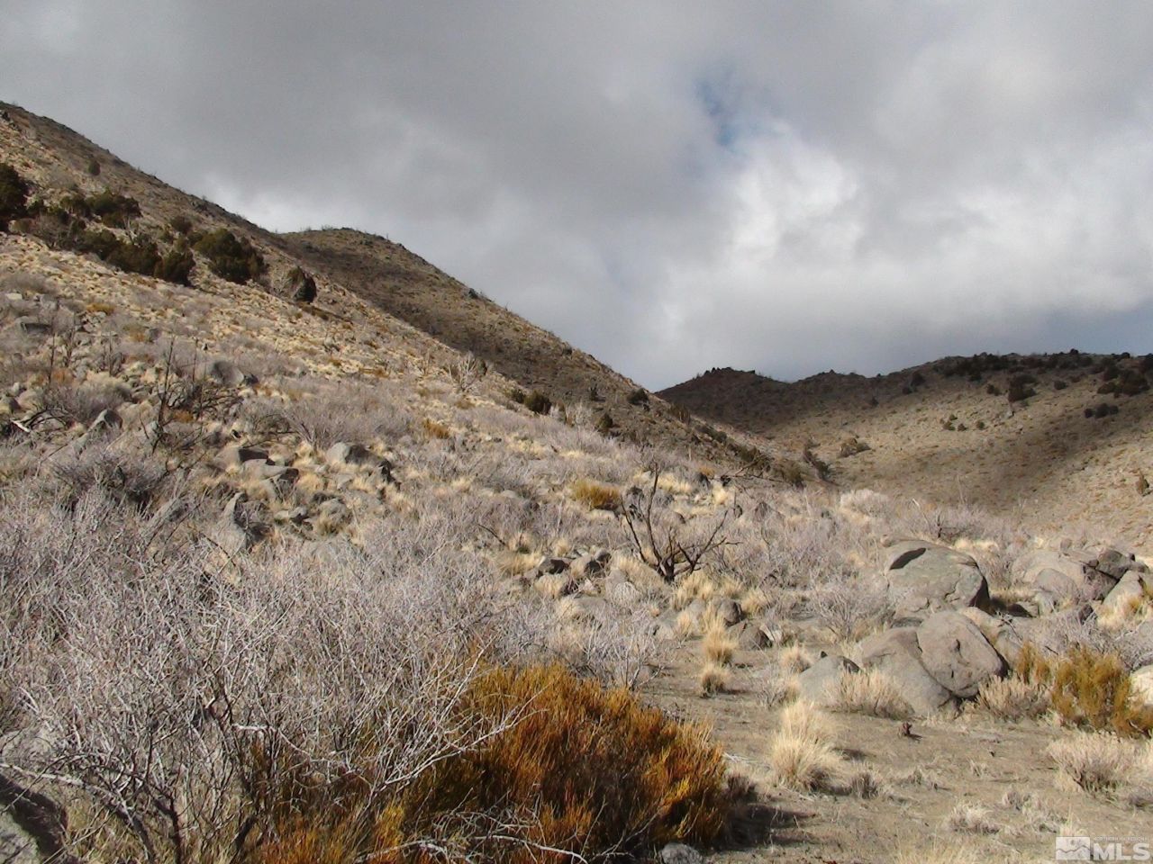 1265 Freds Mountain Road, Reno, NV 89508 Photo