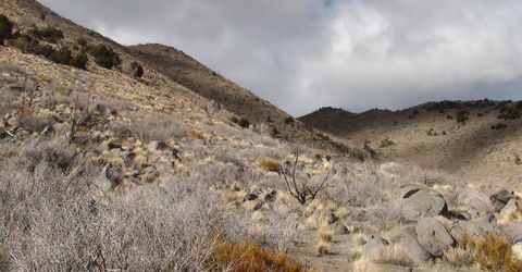 1265 Freds Mountain Road, Reno, NV 89508 Photo