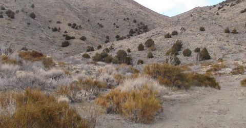 1265 Freds Mountain Road, Reno, NV 89508 Photo