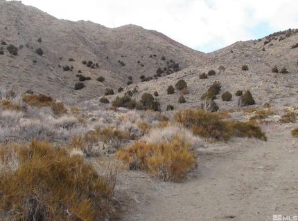 1265 Freds Mountain Road, Reno, NV 89508 Photo