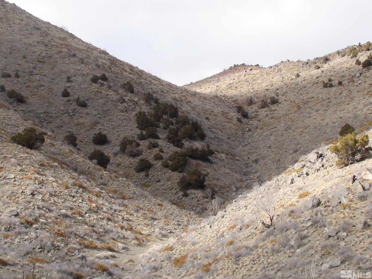 1265 Freds Mountain Road, Reno, NV 89508 Photo