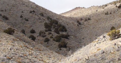 1265 Freds Mountain Road, Reno, NV 89508 Photo