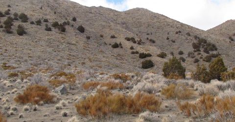 1265 Freds Mountain Road, Reno, NV 89508 Photo