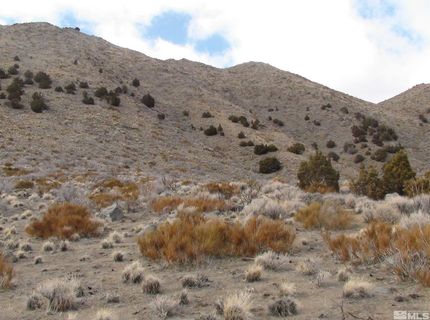 1265 Freds Mountain Road, Reno, NV 89508 Photo