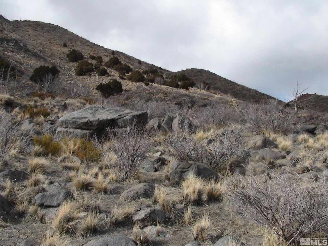 1265 Freds Mountain Road, Reno, NV 89508 Photo