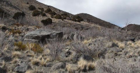 1265 Freds Mountain Road, Reno, NV 89508 Photo