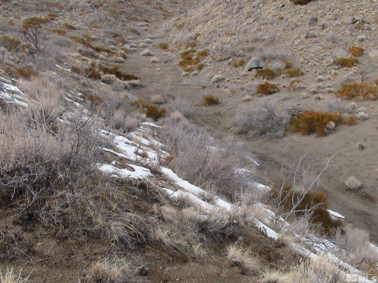 1265 Freds Mountain Road, Reno, NV 89508 Photo