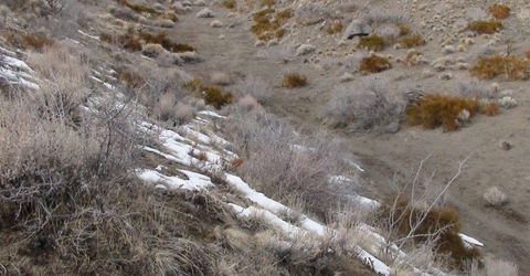 1265 Freds Mountain Road, Reno, NV 89508 Photo