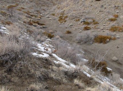 1265 Freds Mountain Road, Reno, NV 89508 Photo