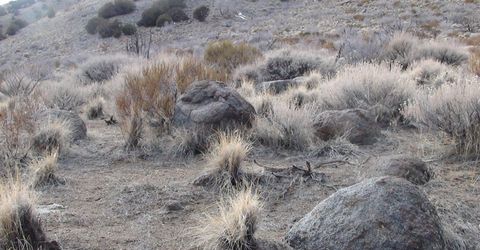 1265 Freds Mountain Road, Reno, NV 89508 Photo