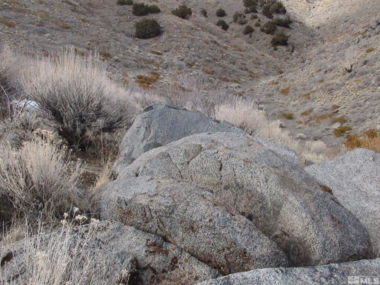 1265 Freds Mountain Road, Reno, NV 89508 Photo