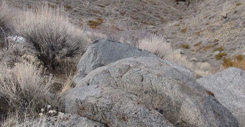 1265 Freds Mountain Road, Reno, NV 89508 Photo