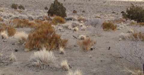 1265 Freds Mountain Road, Reno, NV 89508 Photo