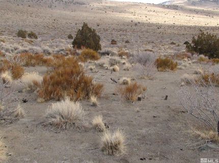 1265 Freds Mountain Road, Reno, NV 89508 Photo