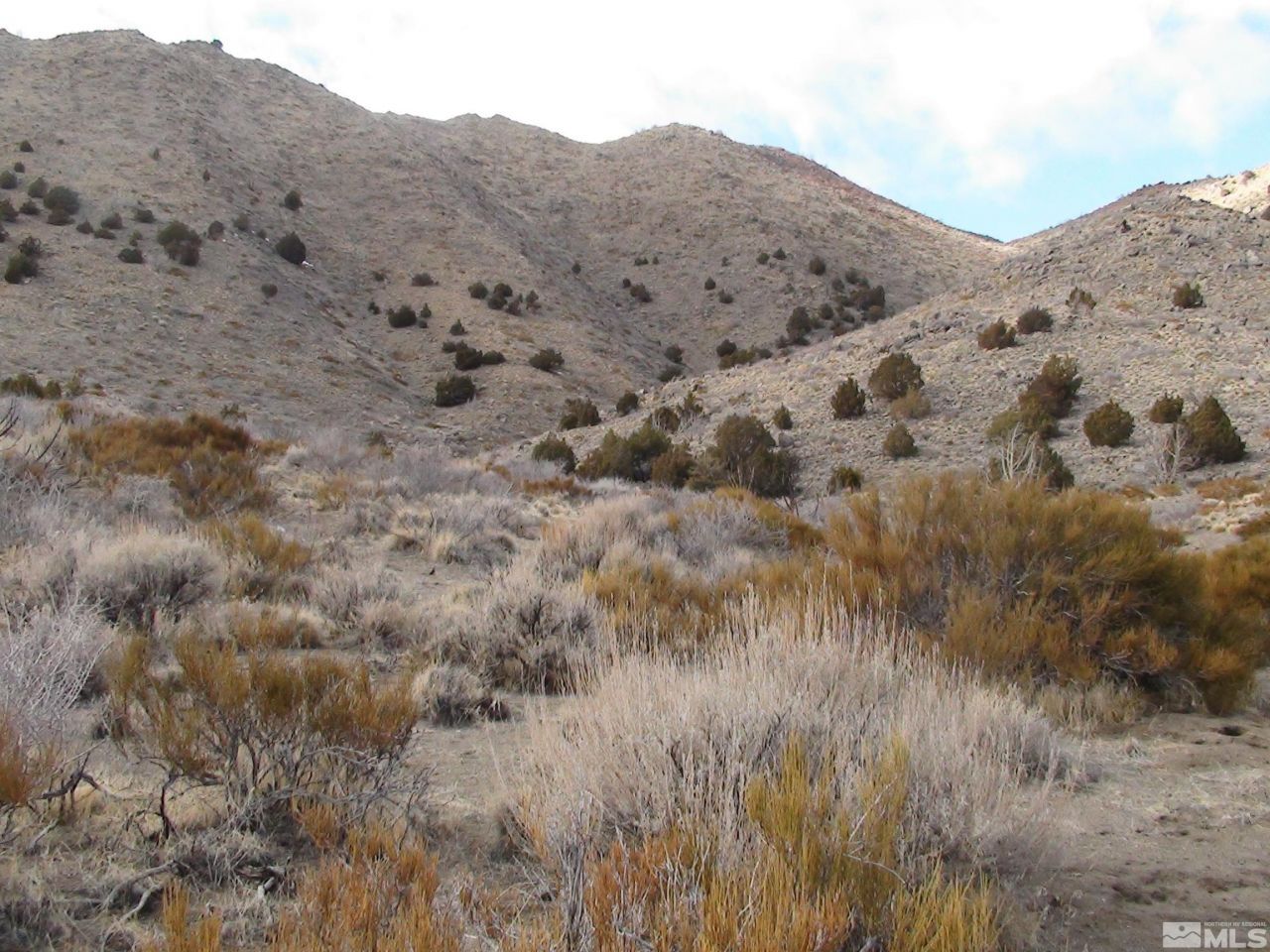 1265 Freds Mountain Road, Reno, NV 89508 Photo