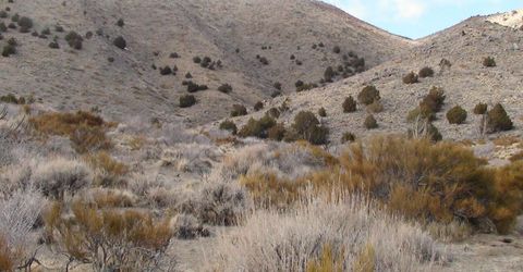 1265 Freds Mountain Road, Reno, NV 89508 Photo