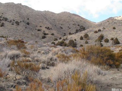 1265 Freds Mountain Road, Reno, NV 89508 Photo