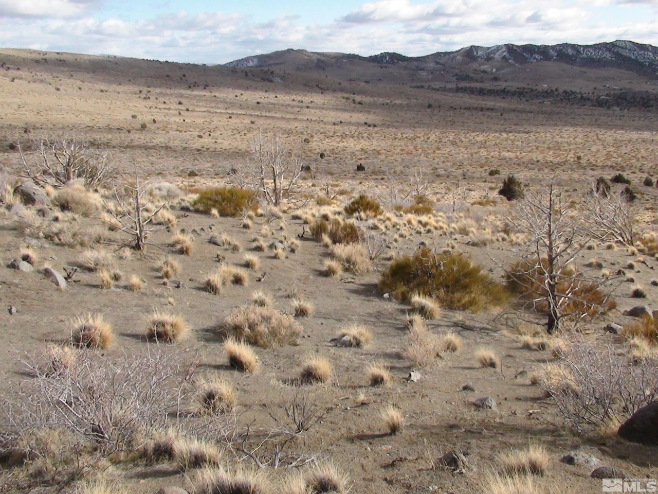 1265 Freds Mountain Road, Reno, NV 89508 Photo