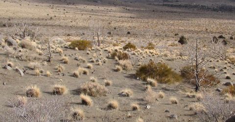 1265 Freds Mountain Road, Reno, NV 89508 Photo