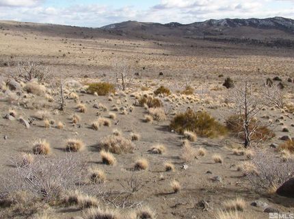 1265 Freds Mountain Road, Reno, NV 89508 Photo