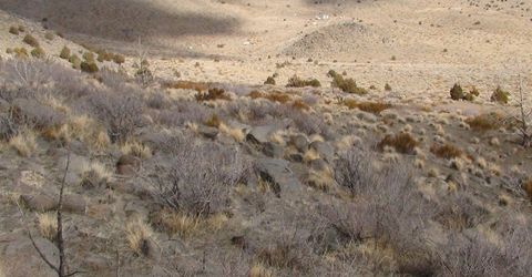 1265 Freds Mountain Road, Reno, NV 89508 Photo