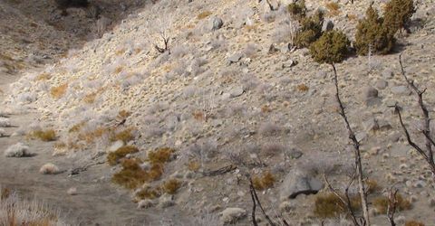 1265 Freds Mountain Road, Reno, NV 89508 Photo