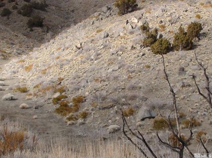 1265 Freds Mountain Road, Reno, NV 89508 Photo