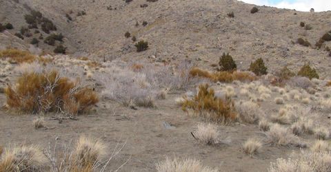 1265 Freds Mountain Road, Reno, NV 89508 Photo