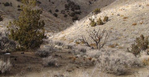 1265 Freds Mountain Road, Reno, NV 89508 Photo