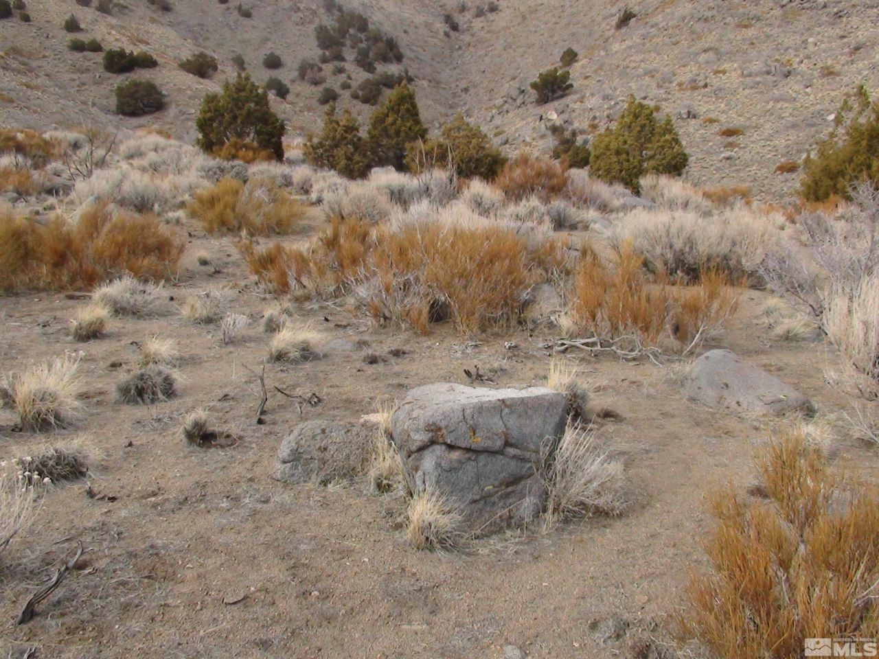 1265 Freds Mountain Road, Reno, NV 89508 Photo