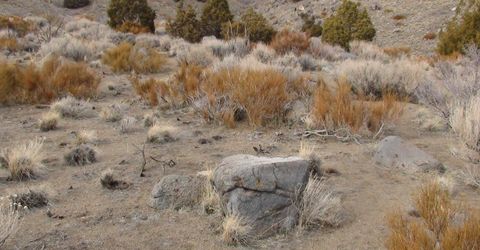 1265 Freds Mountain Road, Reno, NV 89508 Photo