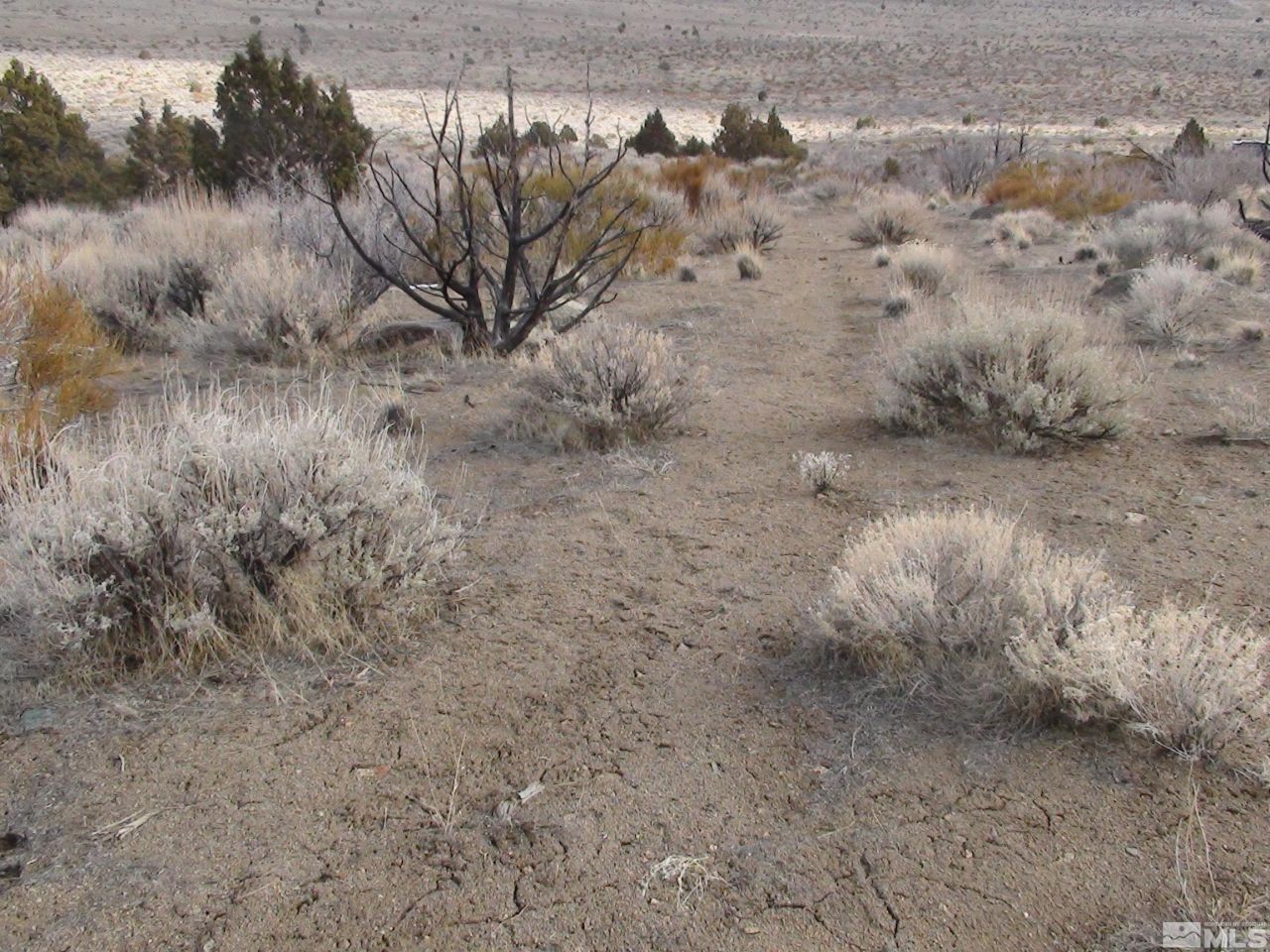 1265 Freds Mountain Road, Reno, NV 89508 Photo