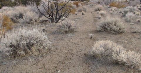 1265 Freds Mountain Road, Reno, NV 89508 Photo