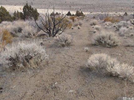 1265 Freds Mountain Road, Reno, NV 89508 Photo