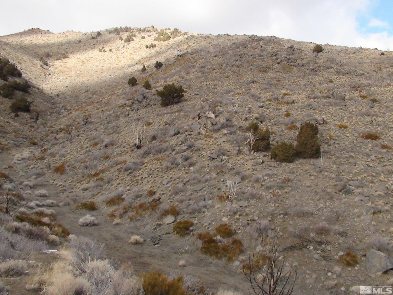 1265 Freds Mountain Road, Reno, NV 89508 Photo