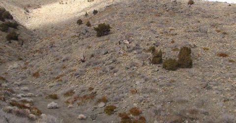 1265 Freds Mountain Road, Reno, NV 89508 Photo