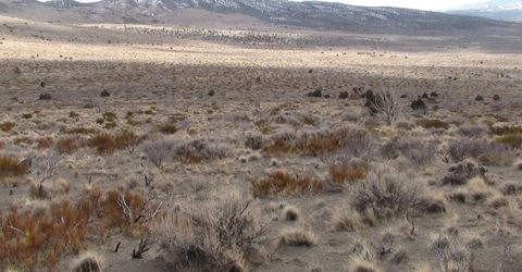 1265 Freds Mountain Road, Reno, NV 89508 Photo