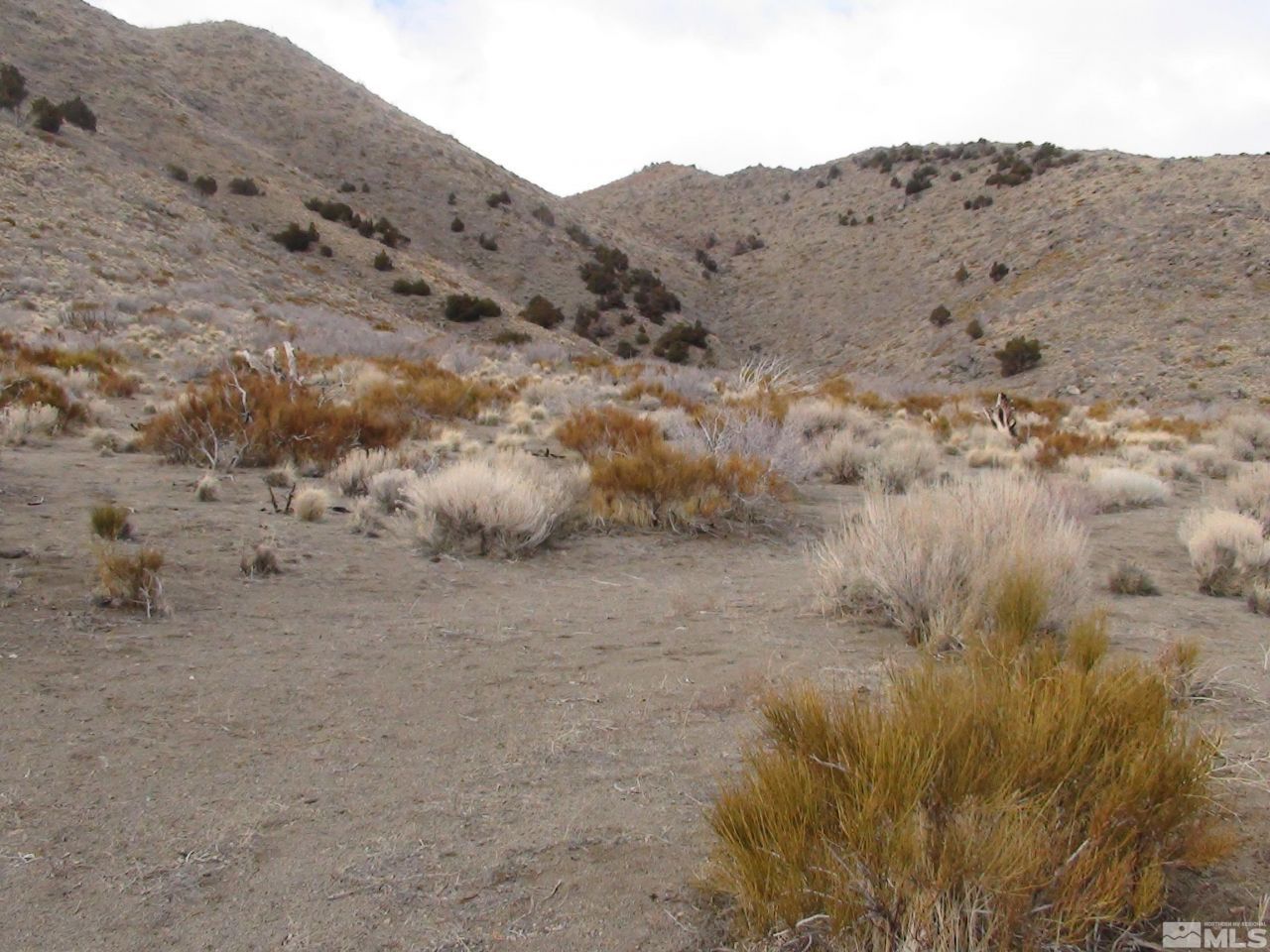 1265 Freds Mountain Road, Reno, NV 89508 Photo