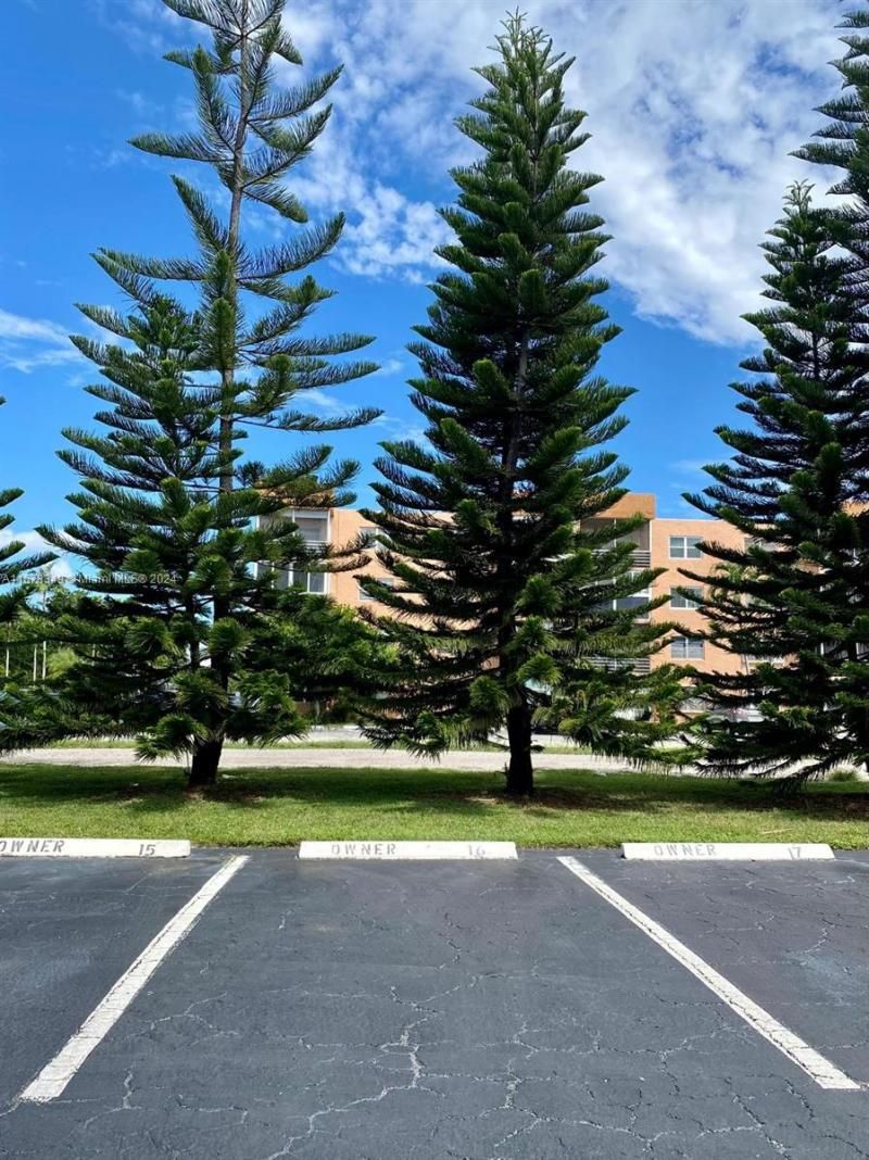 3000 E Sunrise Lakes Dr, Unit 202, Sunrise, FL 33322 Photo