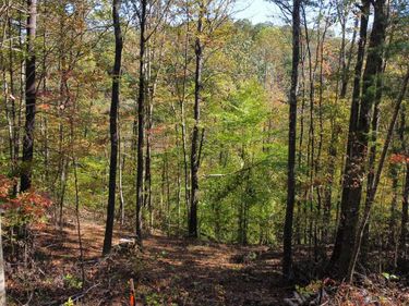 Lot #51 The Reserve At Cliffview, Zoe, KY 41397